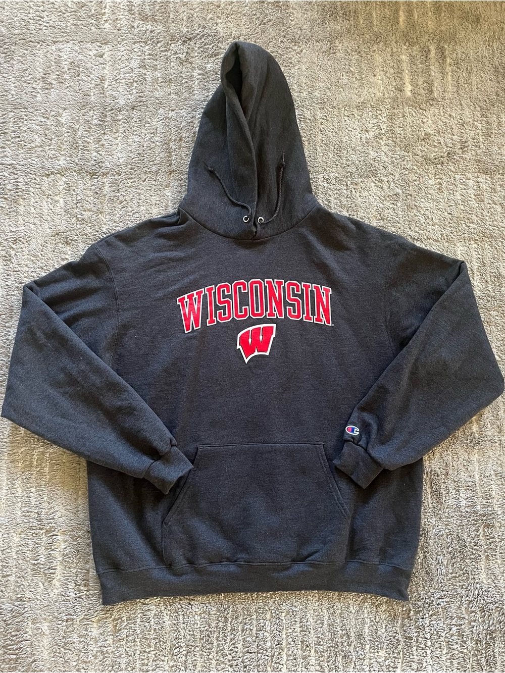 University of Wisconsin Graphic Hoodie
